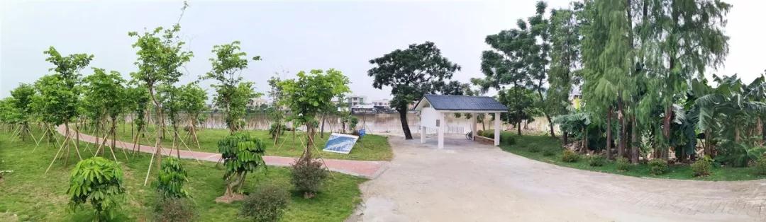 微信图片_20190805105559 微信图片_20190805105559